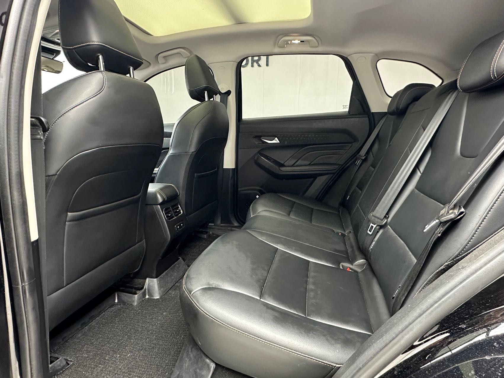 Haval Red Hare 2022 Chitu 1.5T Jinxing Edition Copper Rabbit — 8