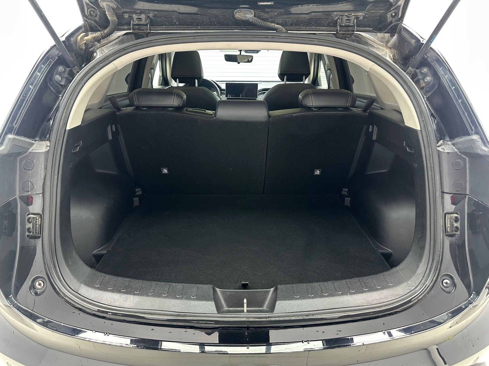 Haval Red Hare 2022 Chitu 1.5T Jinxing Edition Copper Rabbit — 9