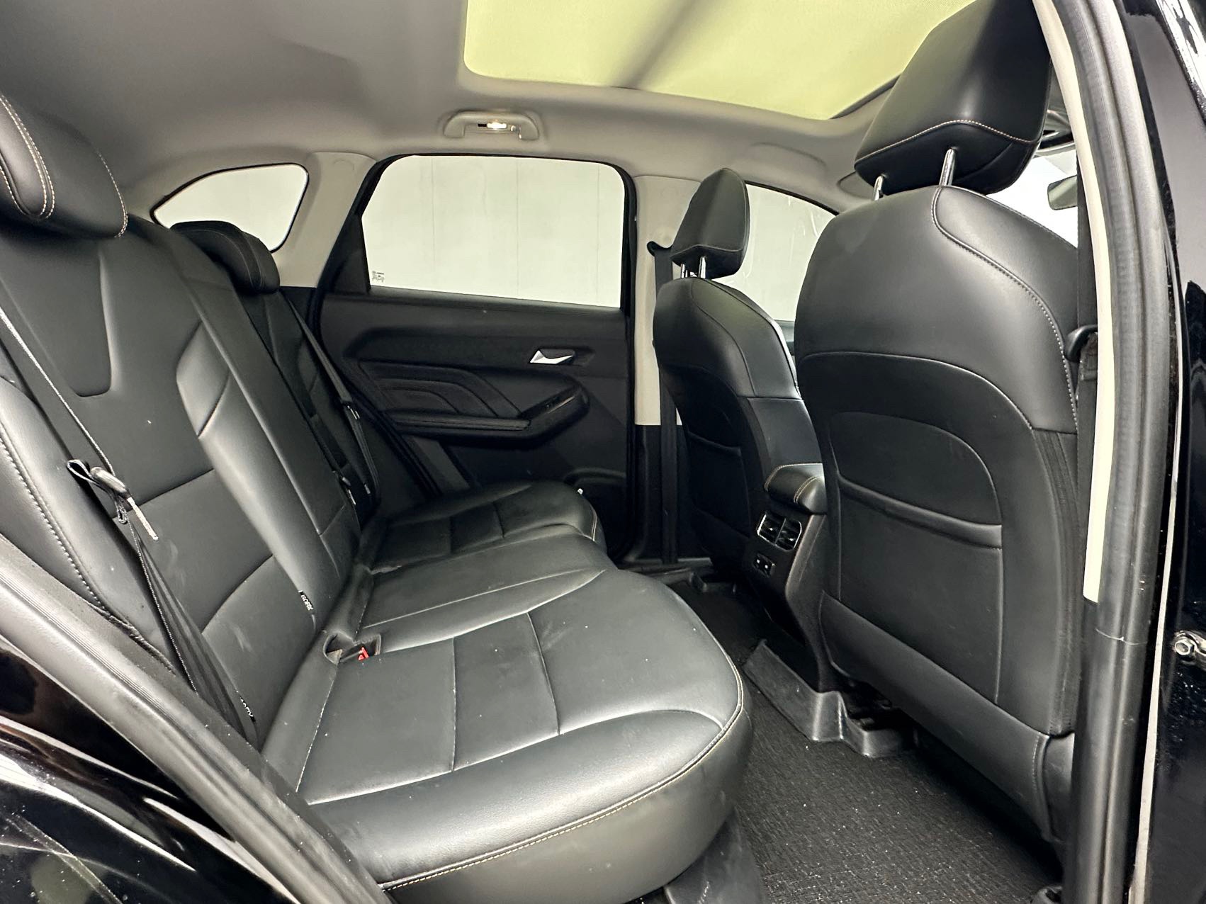 Haval Red Hare 2022 Chitu 1.5T Jinxing Edition Copper Rabbit — 10