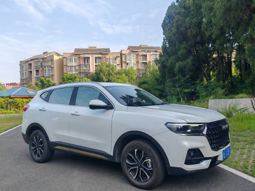 Haval 2023 H6 1.5T National Trend Edition Urban Edition — 3