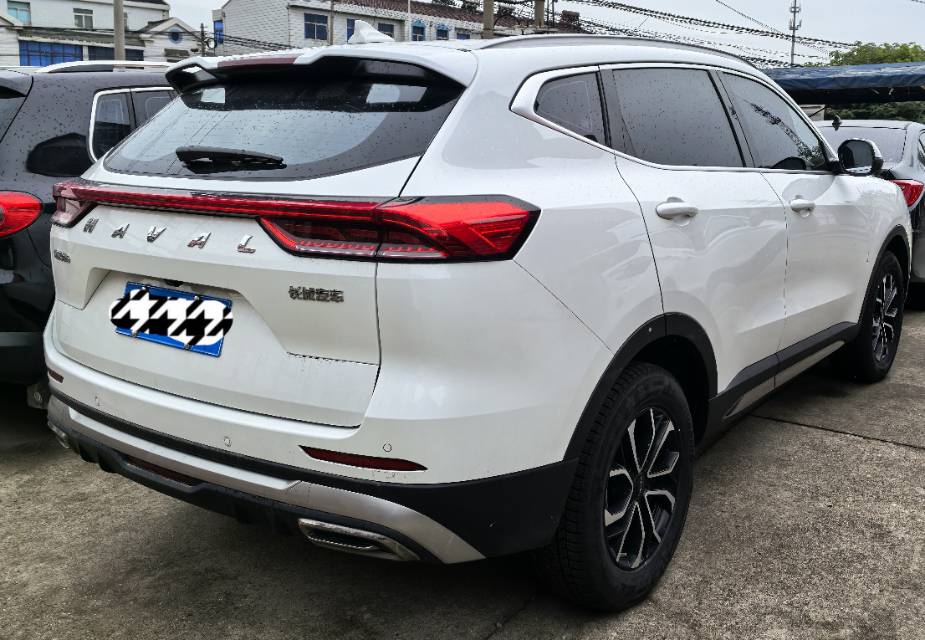 Haval 2023 H6 1.5T National Trend Edition Champion Version — 3